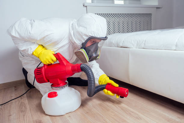 Best Best Pest Control Companies  in North Westport, MA